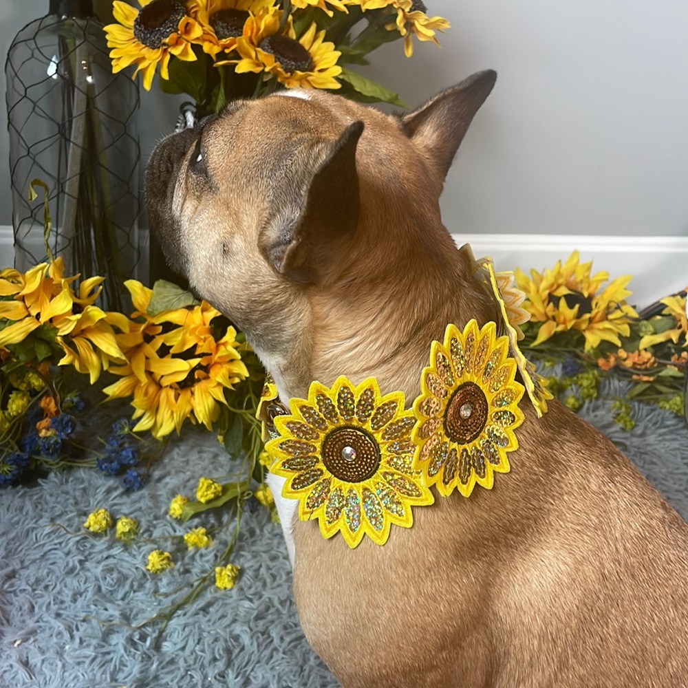 🌻Sunflower state of mind - large sunflower dog collar🌻